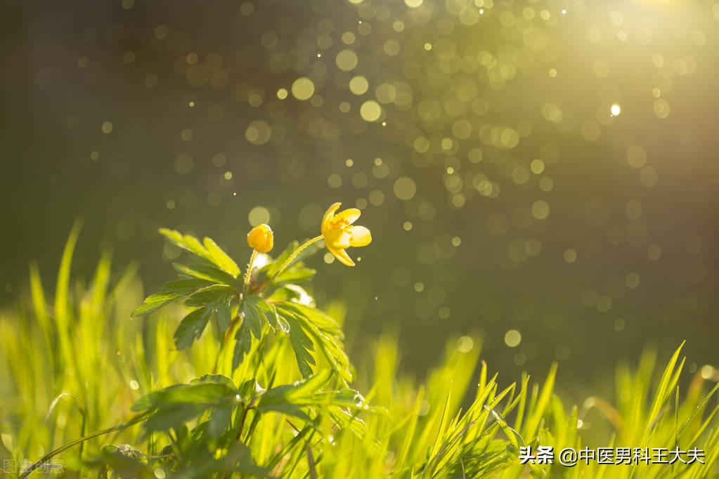 下肢冷脾胃虚寒吃什么,脾胃虚弱小腿以下怕冷