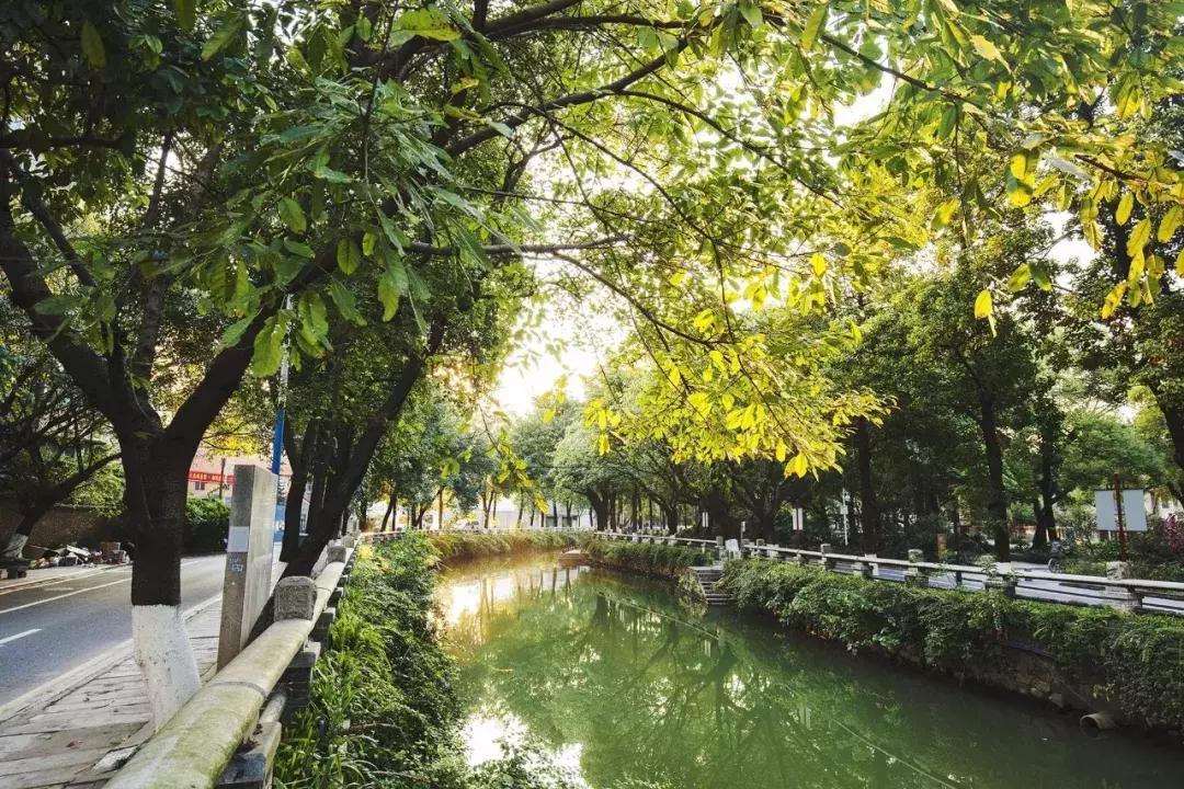 广州人熟悉的芳村，正在消失......