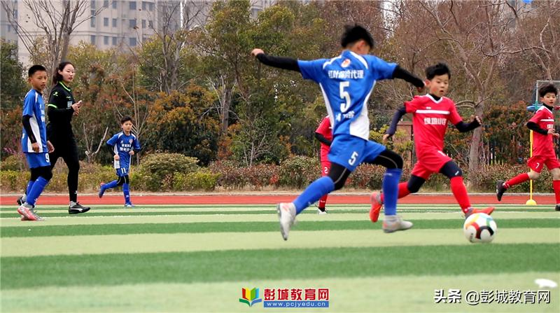 徐州市市长杯小学足球赛,2024年徐州校长杯足球联赛