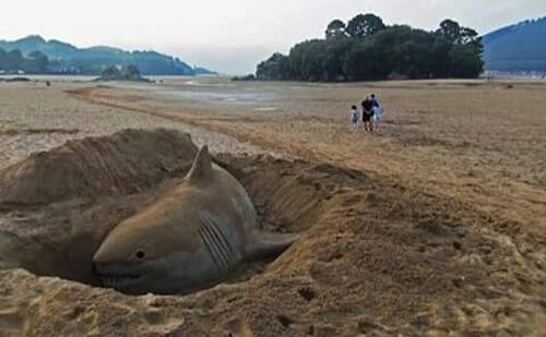 老外沙雕动物视频,外国人沙雕模仿动物