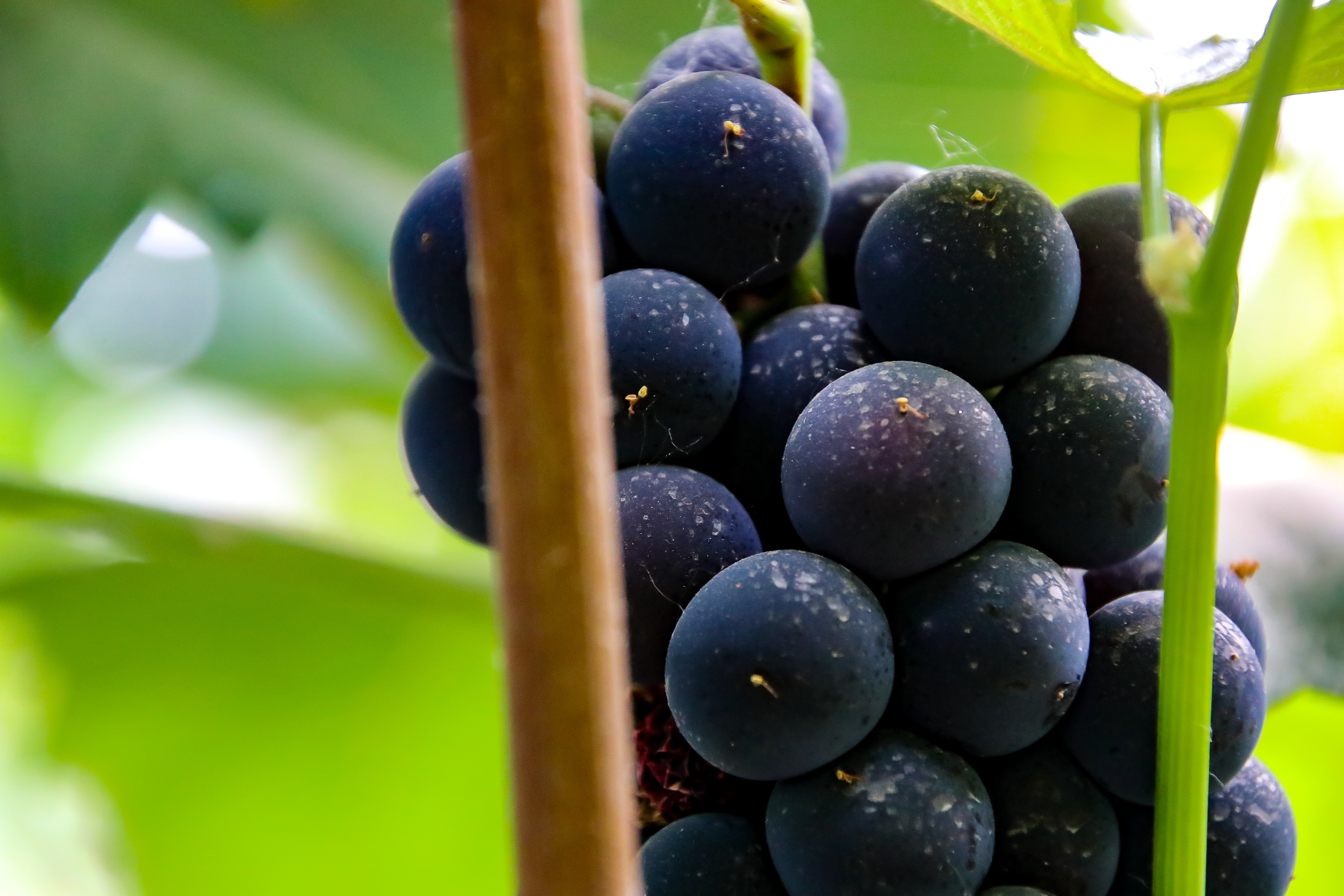 孙亚鹃：扎根黑土献芳华