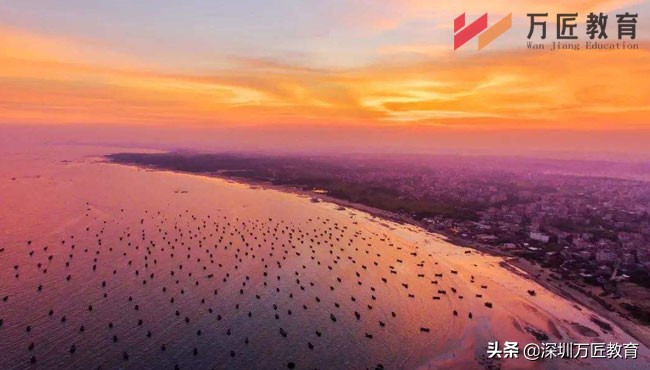 深圳积分入户网上申报流程,2020年深圳应届毕业生入户指南