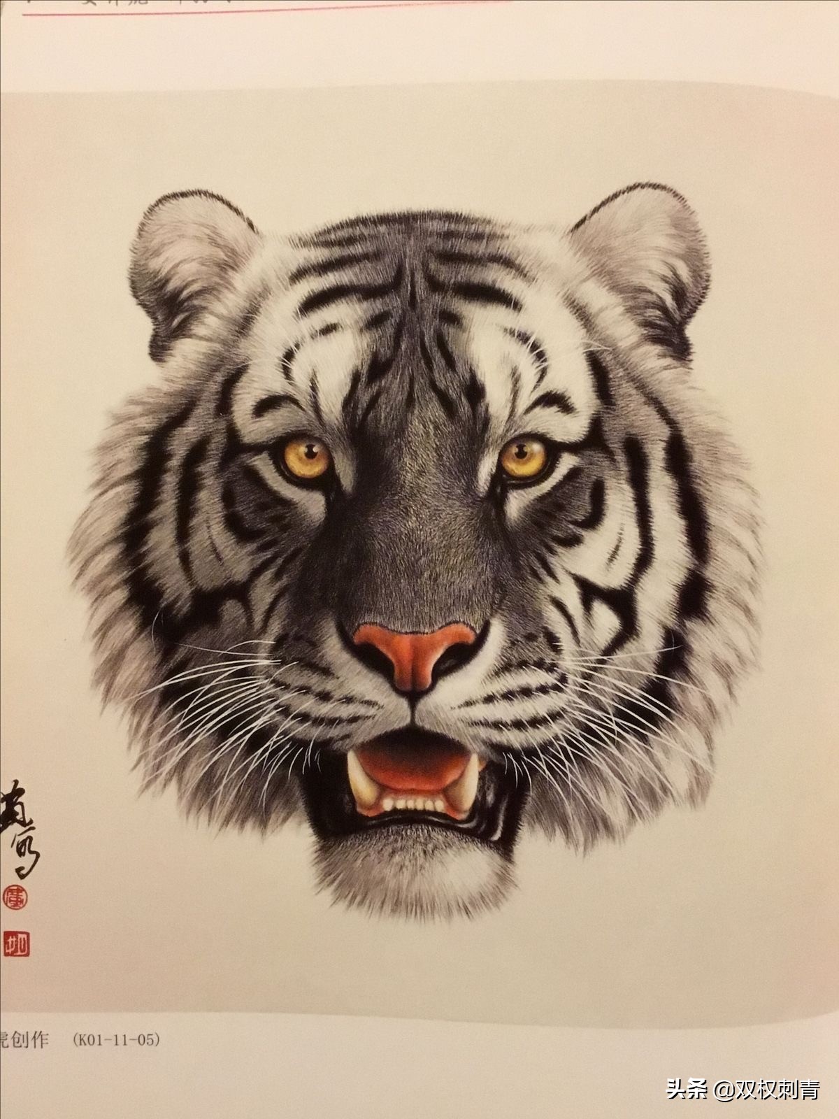 新传统老虎纹身手稿,满背老虎纹身手稿大全