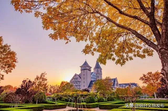 烟台八菜一汤攻略,烟台八菜一汤文旅