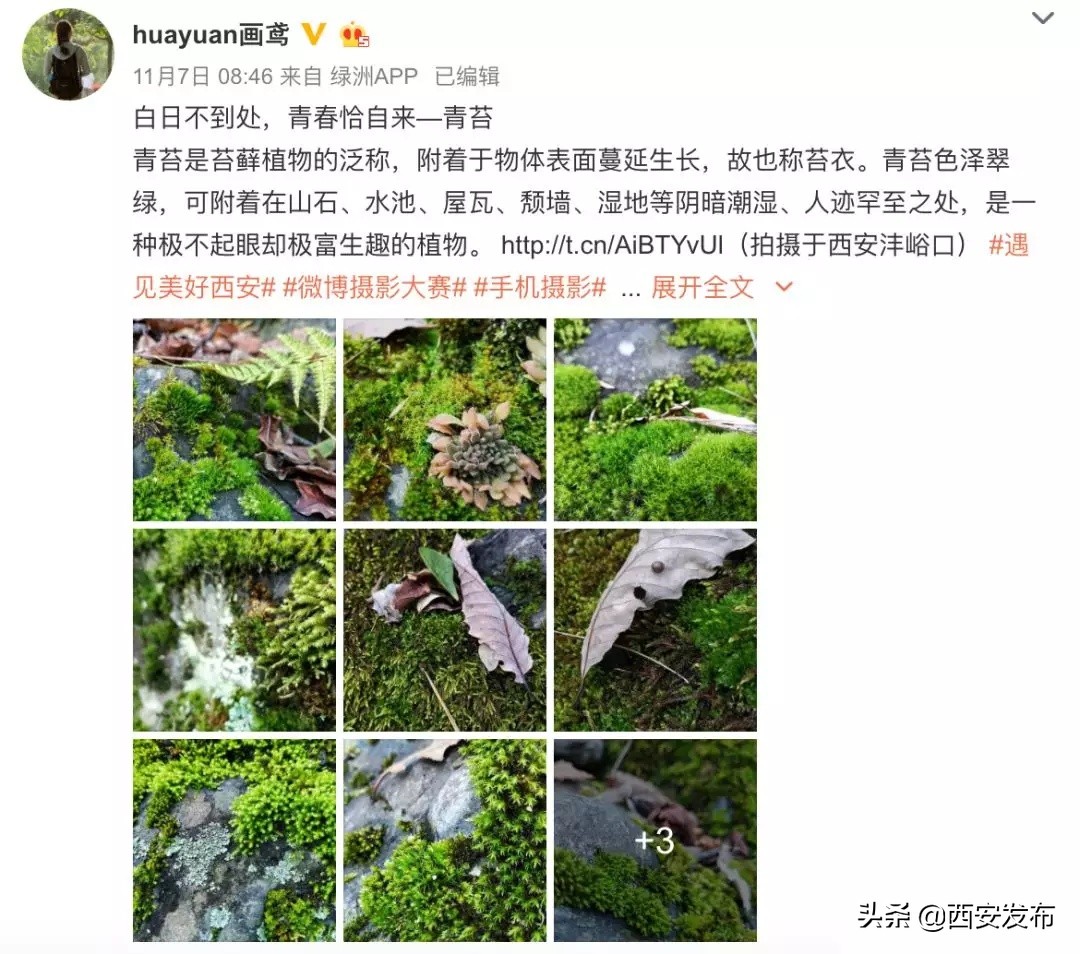 话题阅读量最多,话题阅读量破50