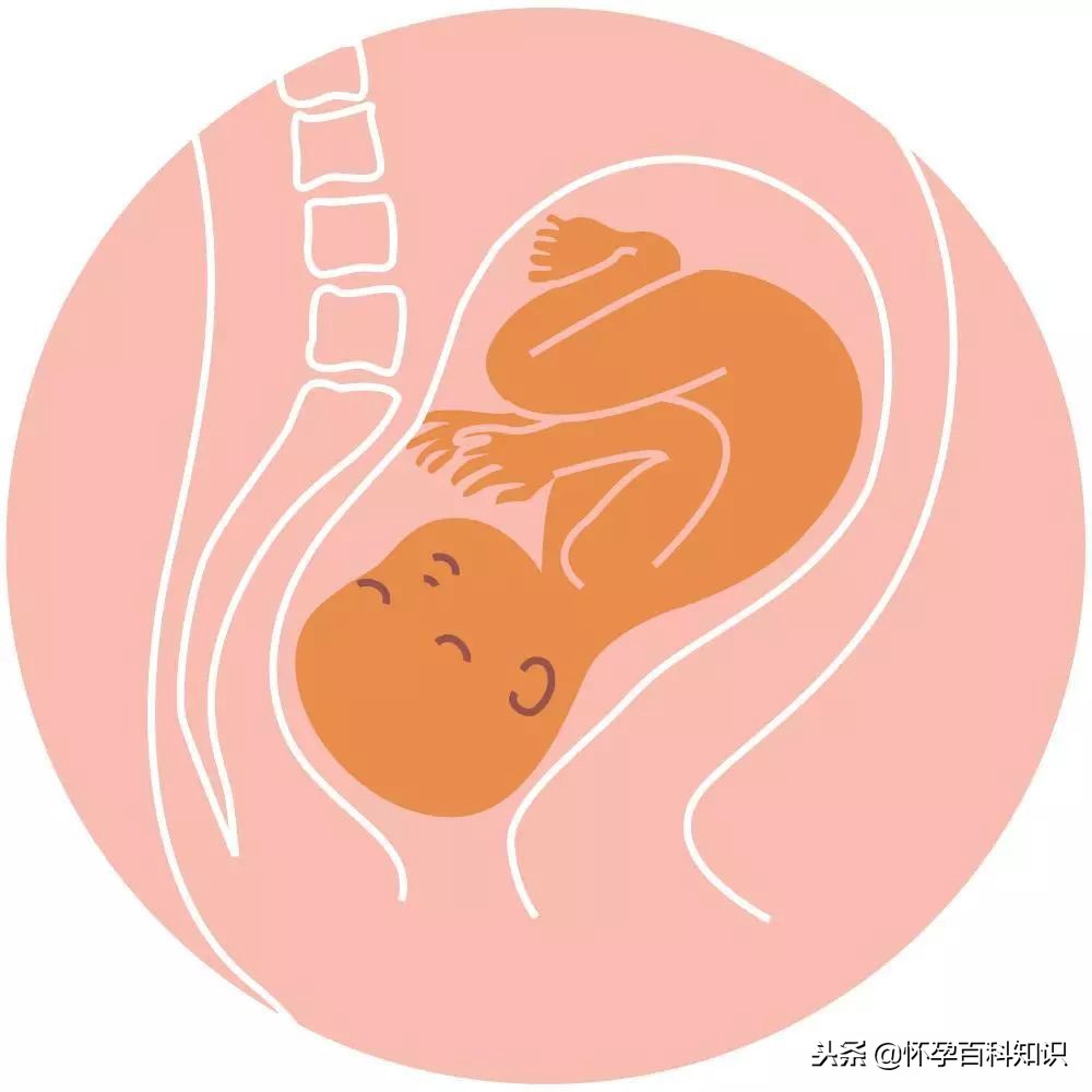 彩超loa代表胎儿的什么意思,彩超lof代表什么