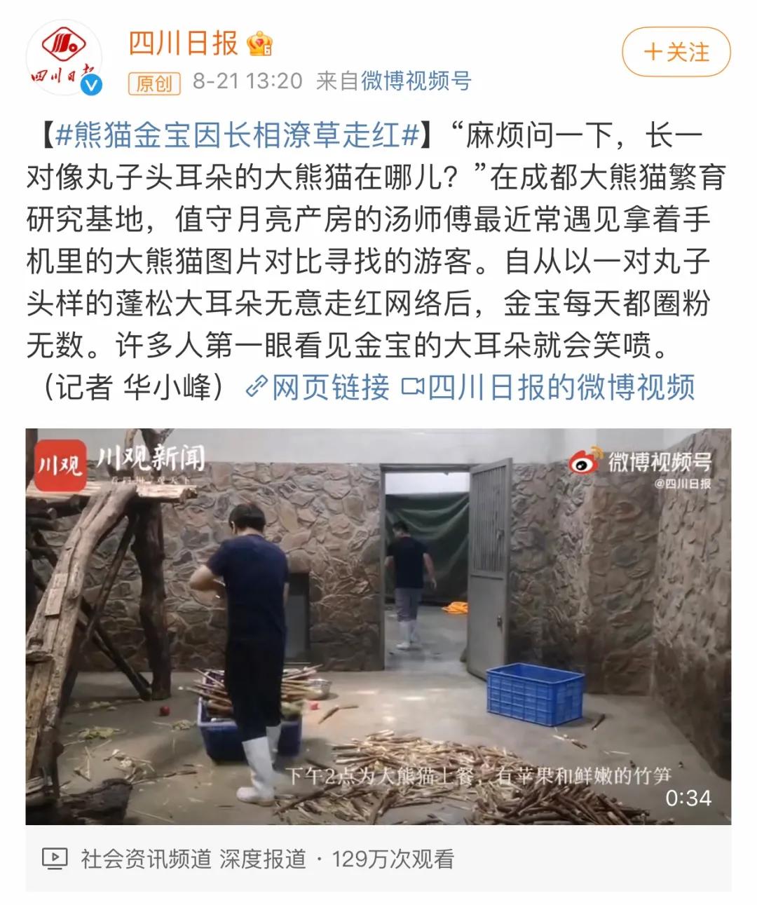 一只玩偶近2000元还被疯抢，“熊猫”内卷真的来了