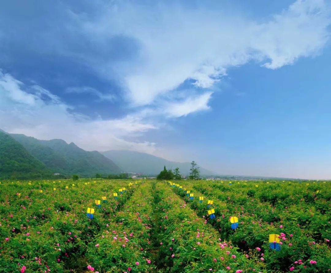 德阳周边旅游攻略,德阳五一周边游玩地方推荐