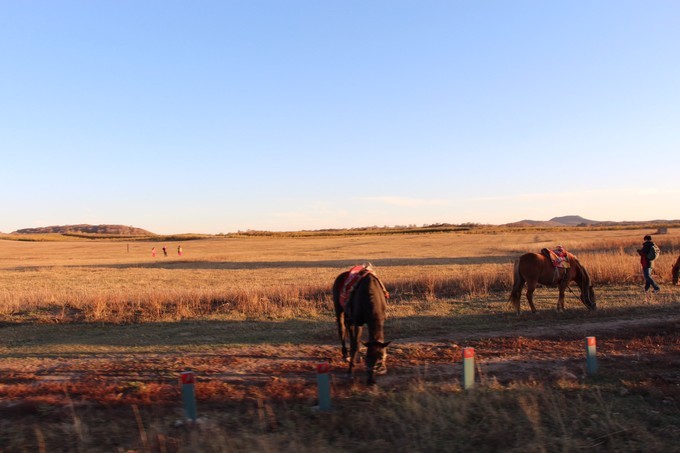 坝上乌兰布统的秋天完整版,乌兰布统坝上草原