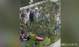 河南三名干部“落马”;读书真能当饭吃!河南这个高校餐厅背古诗送餐券