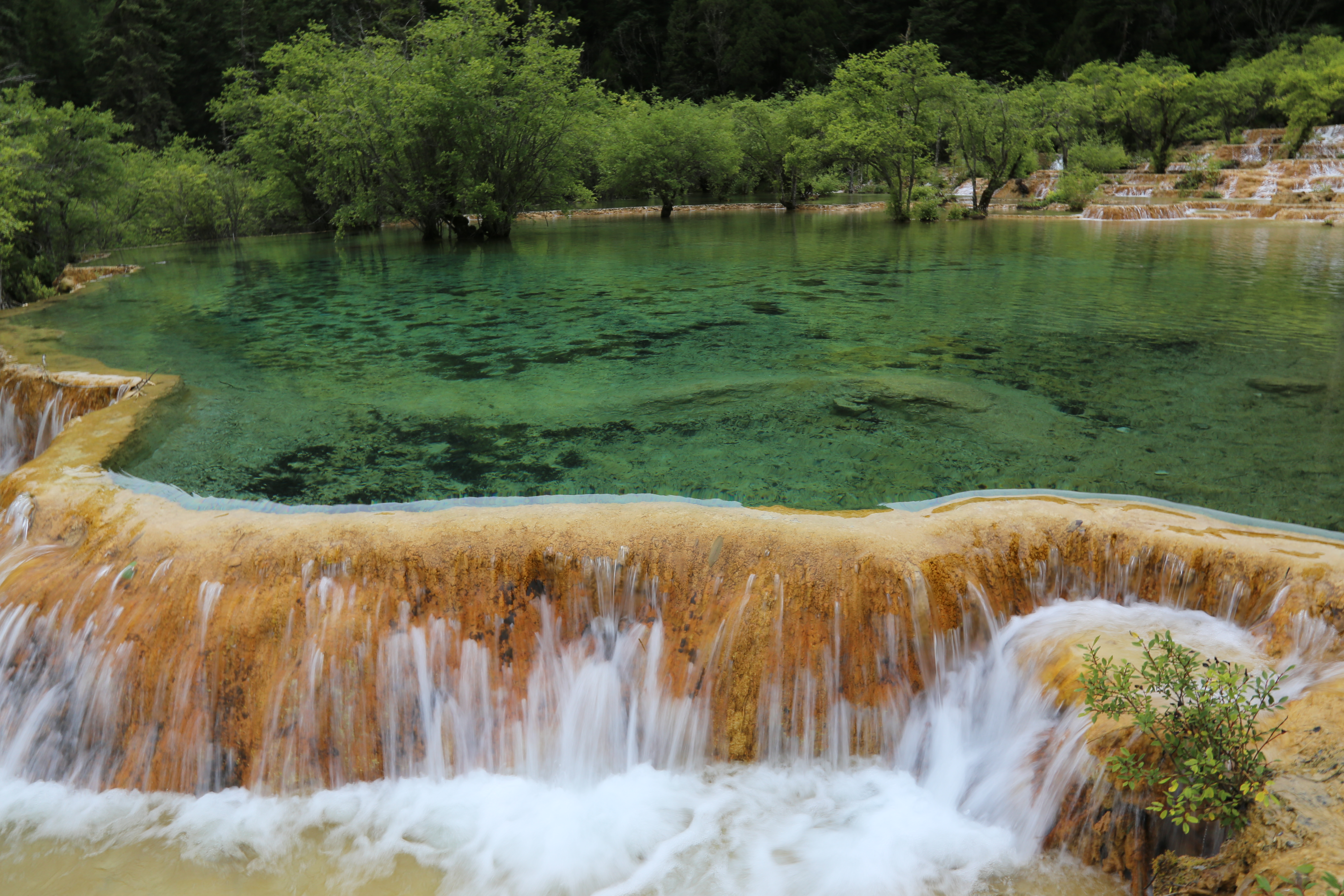 自驾游六——四川黄龙景区随笔