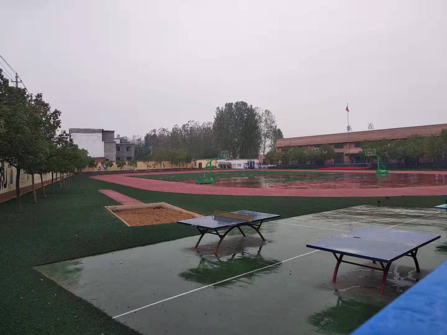 平桥区推进中小*运学**动场标准化建设，塑胶运动场比例达70%