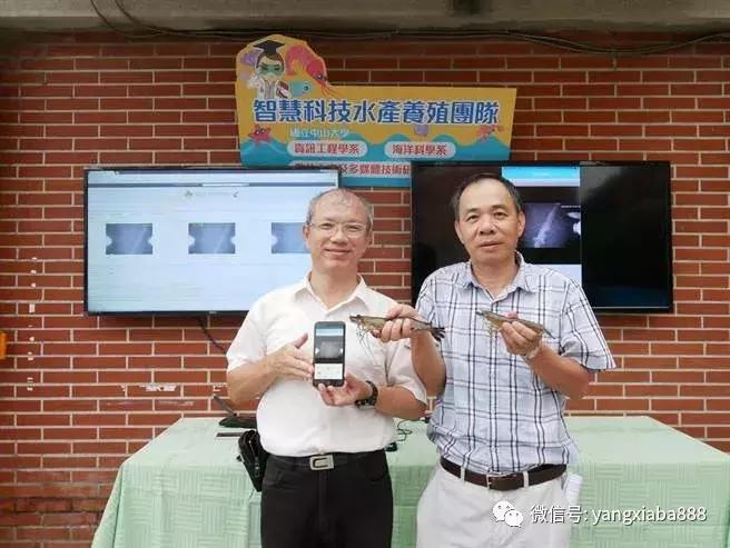 这里，运用新科技与大数据养虾，可控性强，效益高！