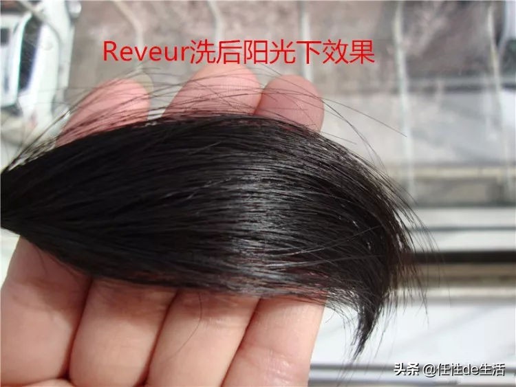 头皮油发尾干?秃头脱发的苦恼,这些洗发水能帮到你