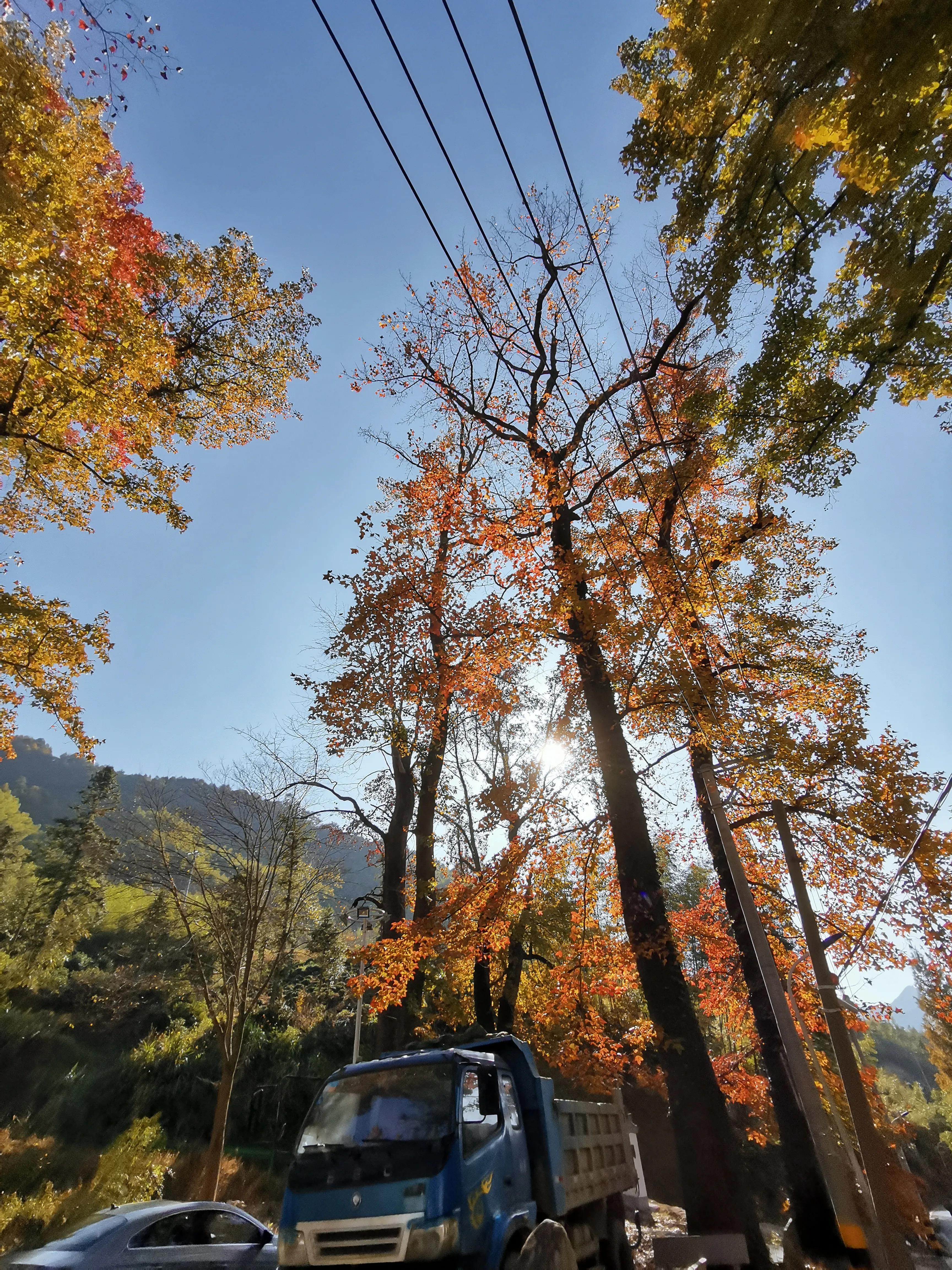 竹溪好耍的巷子,竹溪县青石板