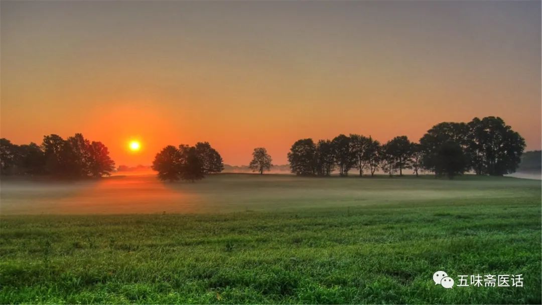 如何与癌老虎和平共处