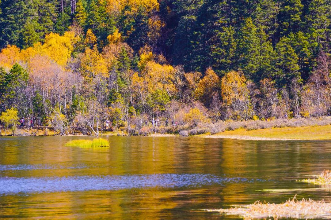 户外游最佳路线,小众户外游攻略