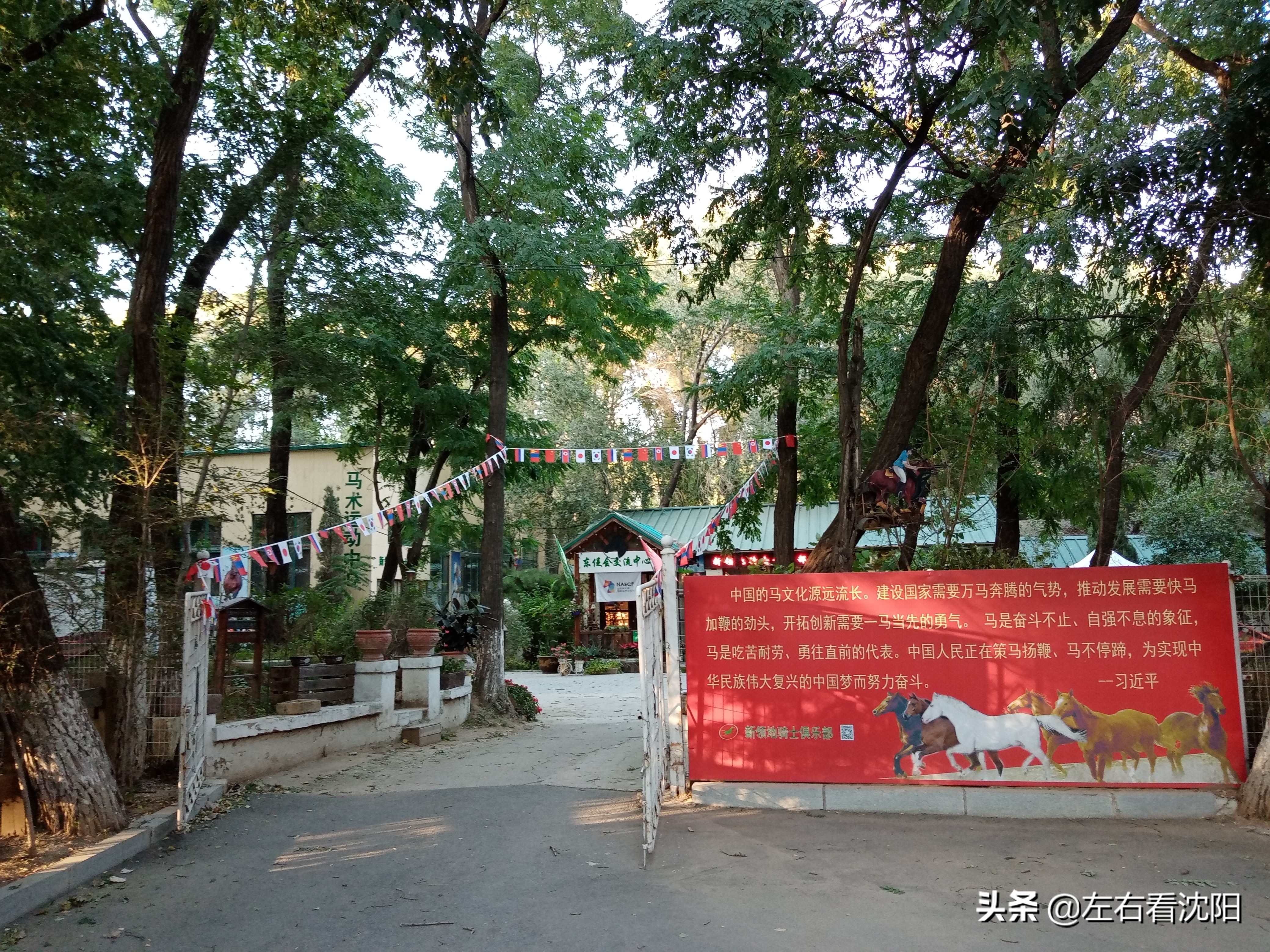 沈阳沈水湾公园看日出,沈阳浑河看海的地方