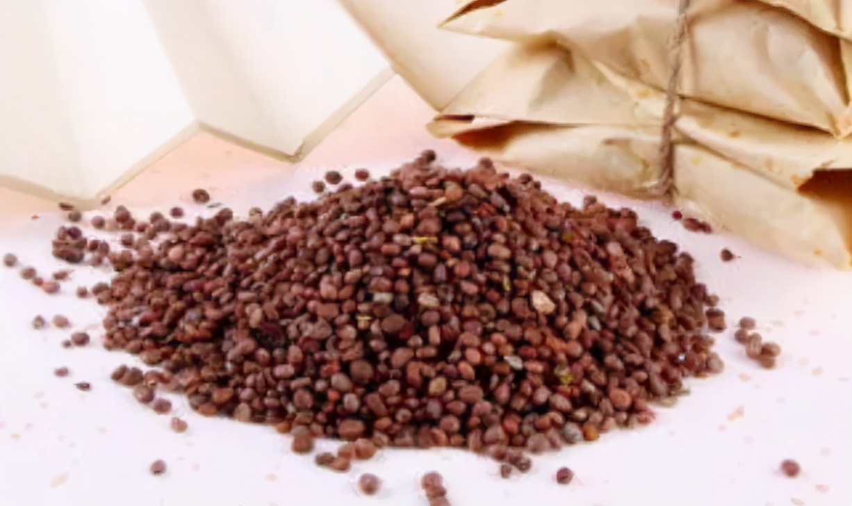 积食吃保和丸还是藿香正气,小儿积食小柴胡颗粒午时茶