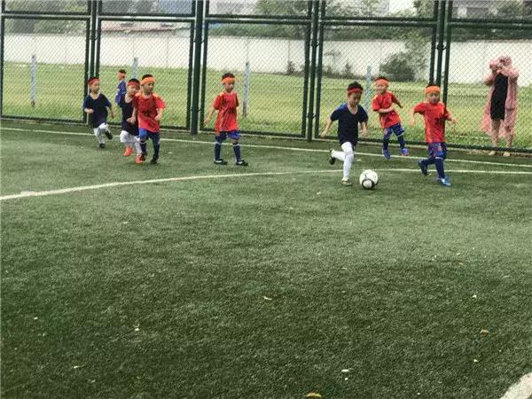 飞扬足球,飞扬足球预测