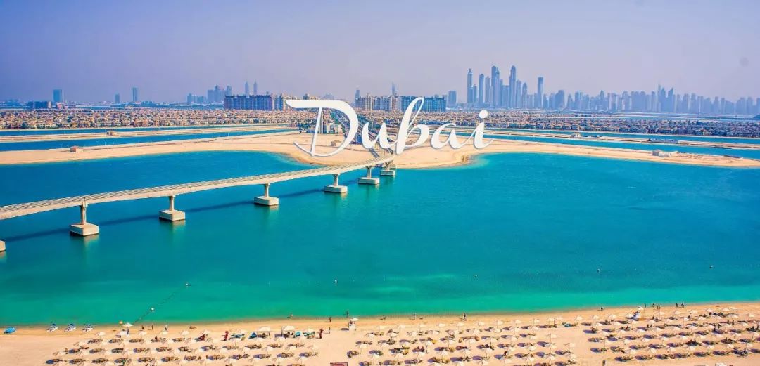 靠捡垃圾成为千亿富豪,靠捡垃圾成为千亿富翁合集