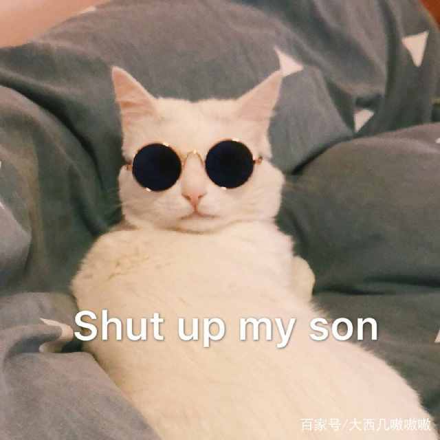 那我怎么办表情包可爱,表情包我怎么发不出去