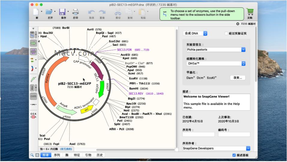 SnapGeneViewerformac,生物分子克隆软件5.2.5免费中文版