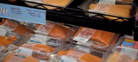 渔业危机纪录片,渔业阴谋纪录片预告