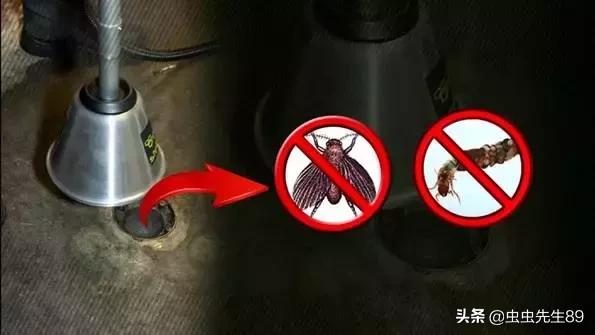 蹲便厕所小飞虫如何彻底消除,怎样消除厕所里的飞虫