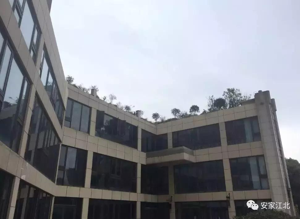 江北烂尾楼最新消息,实拍江北鬼城烂尾楼