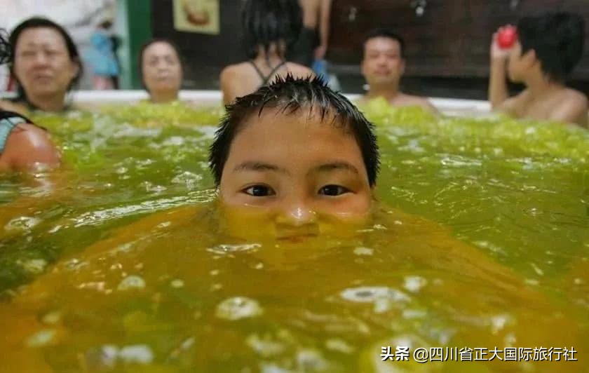 世界行为迷惑大赏,世界迷惑行为大赏解说