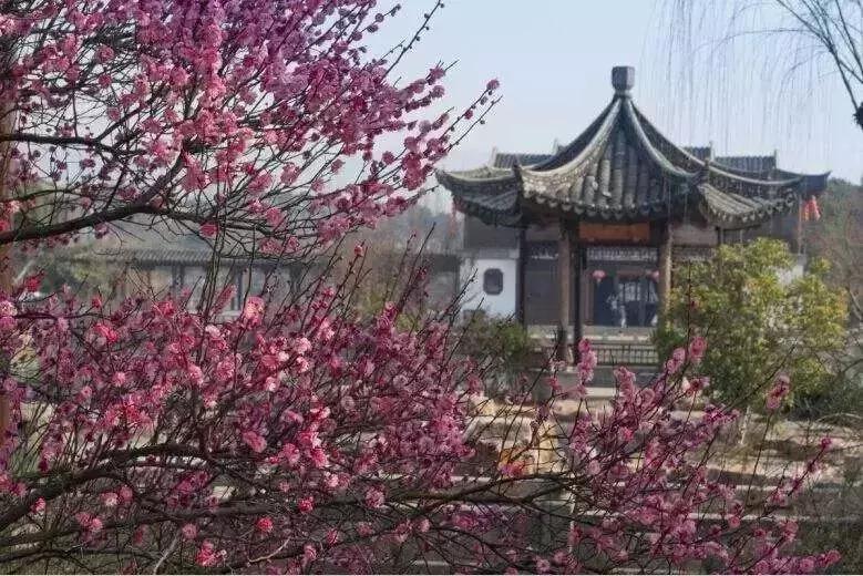 狂飙18级,狂飙18集公路飙车片段在哪