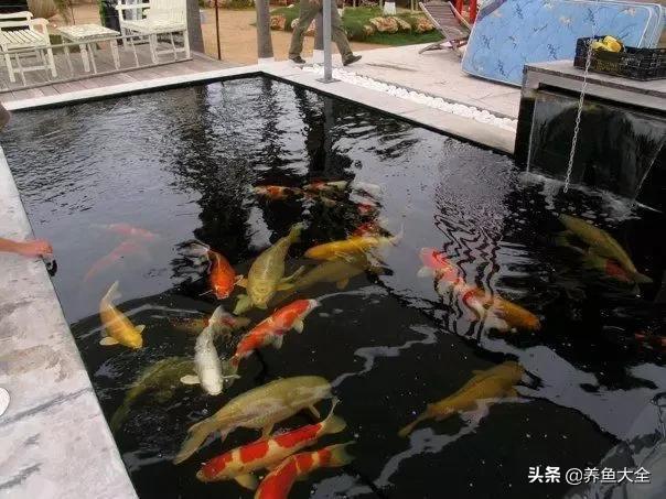 楼顶锦鲤池,楼顶锦鲤池设计图