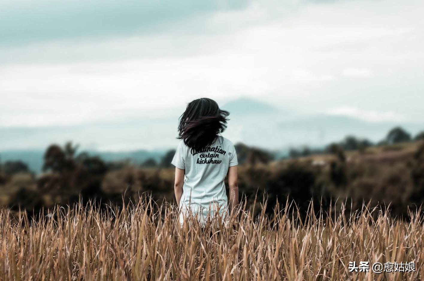 许志安郑秀文感情经历 (许志安郑秀文感情事件)