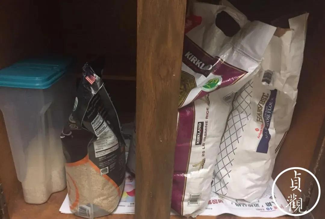 现在在德国买不到口罩,口罩在美国多少钱一个