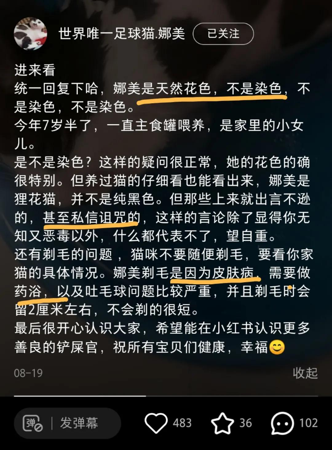 全球罕见足球猫冲上热搜，网友：指定染色！结果......哈哈哈哈