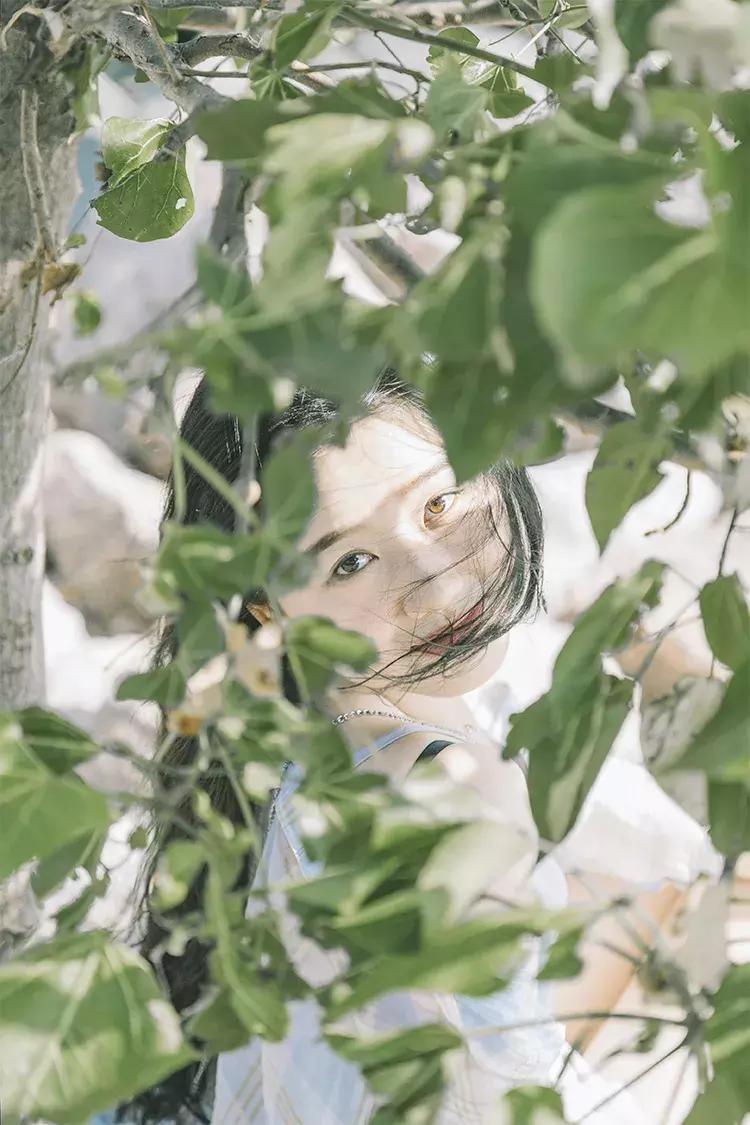 深圳海岸线高清图,深圳比较漂亮的海岸线