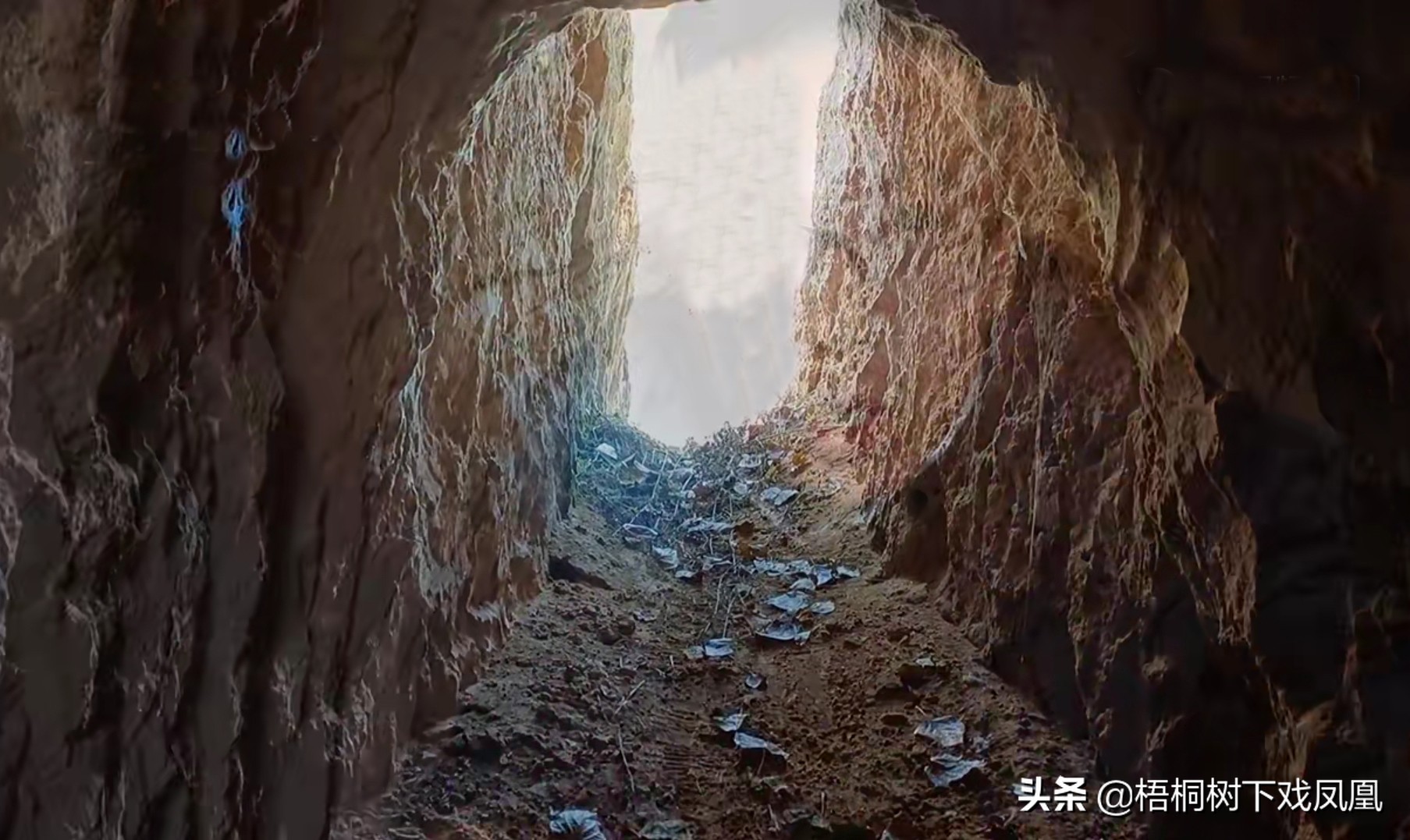 邀请去山东盗墓，“保底赚10万”，一网友动心了，见面后不敢干了