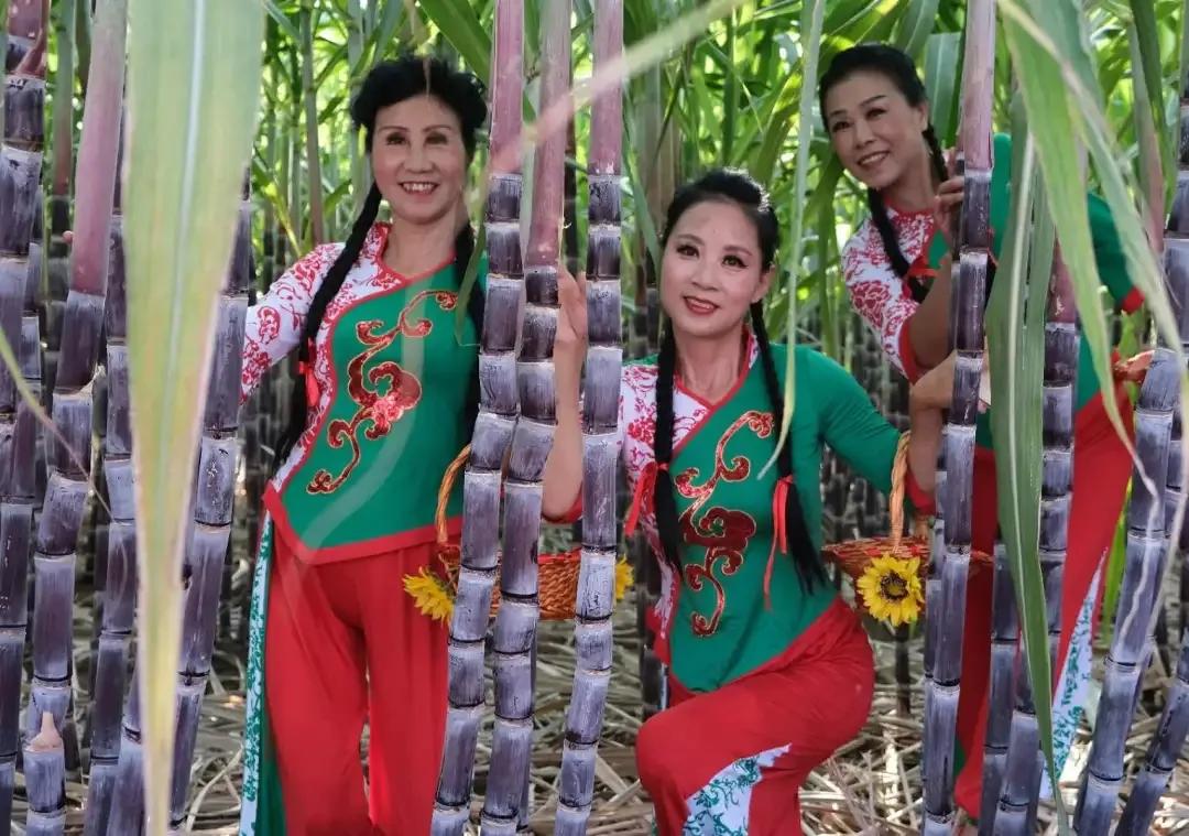 央媒集体点赞,央视新闻联播点赞9万亩小麦