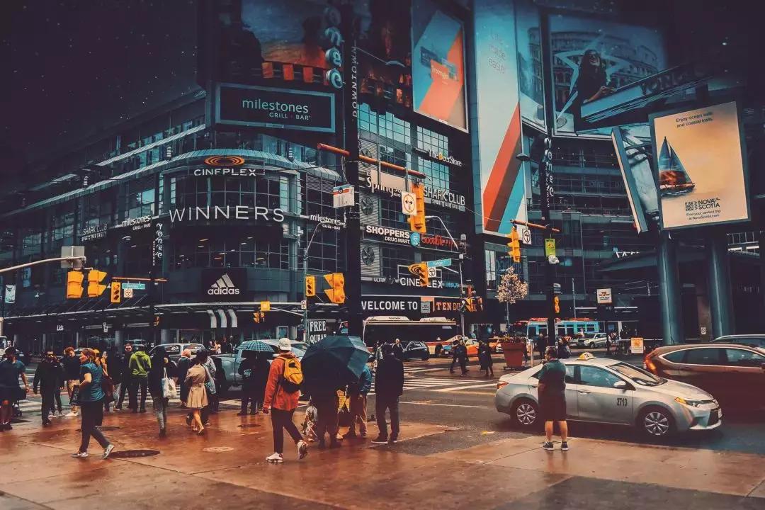 网易关联四平台告吹，能否用网易土猪兑付？