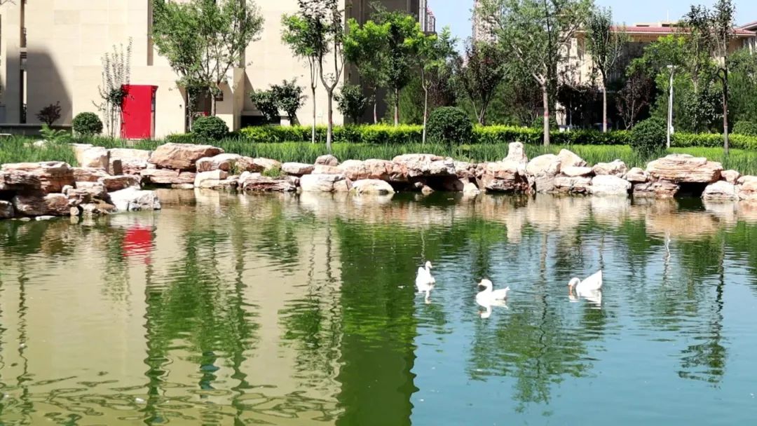 实探一线湖景房,石家庄房产探盘排行榜前十名