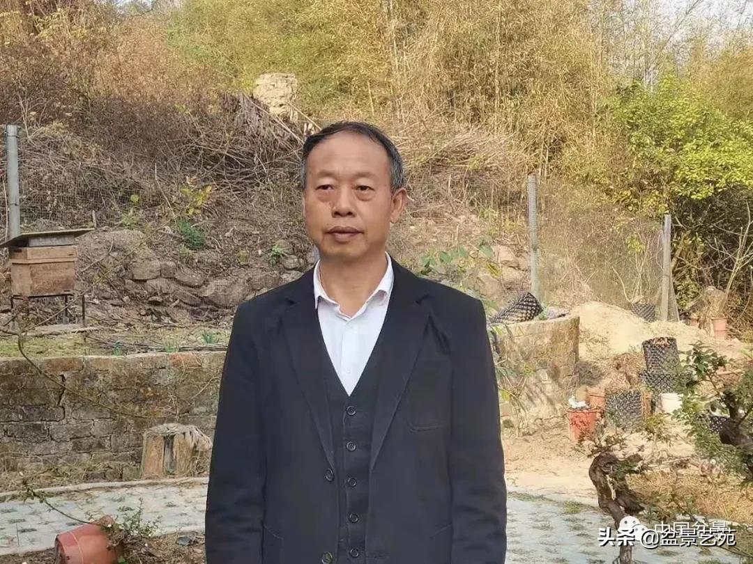 老树桩的造形特征有哪些,论述树桩盆景主要流派的艺术特点