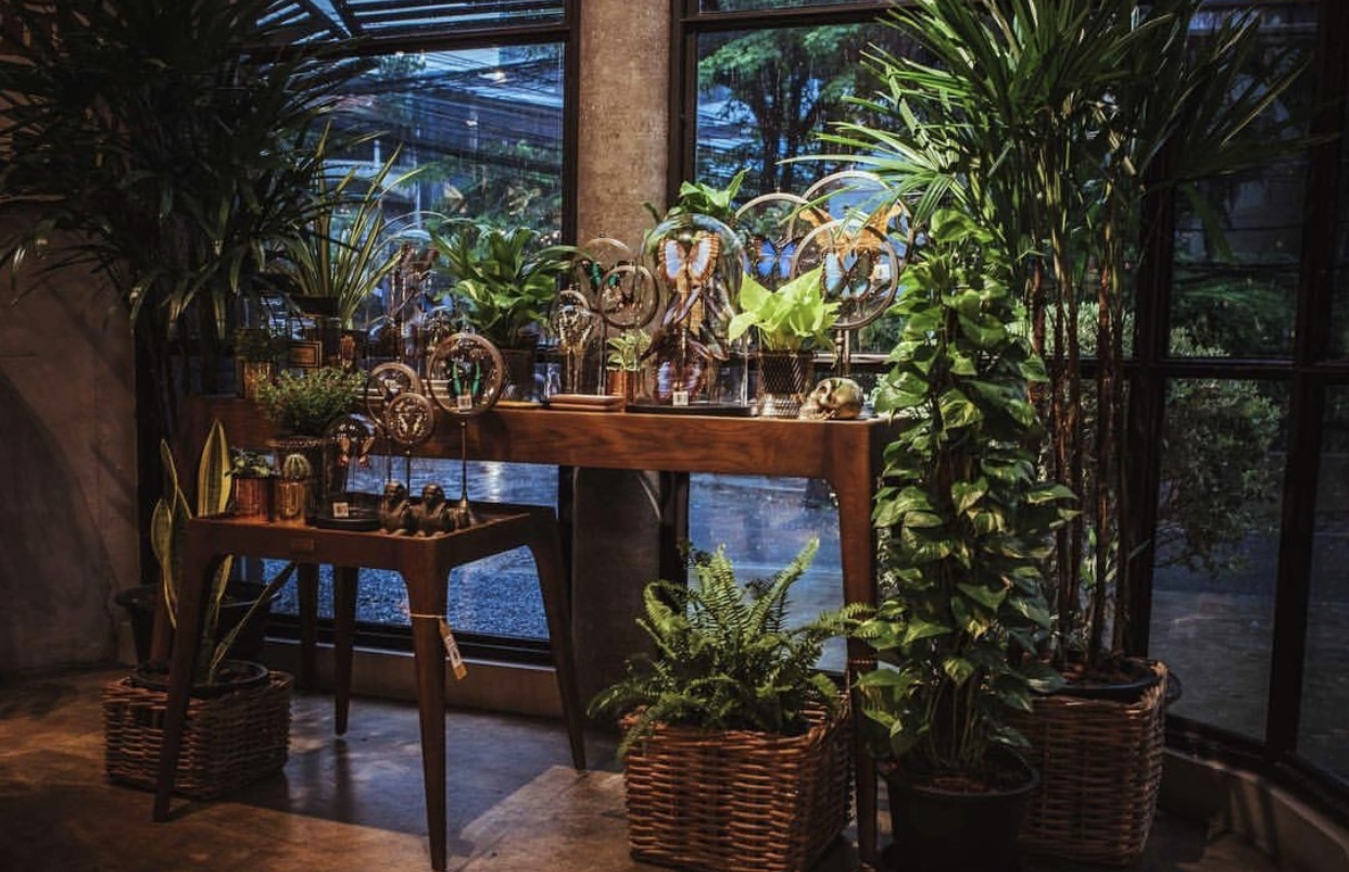 泰国曼谷购物攻略,泰国曼谷购物最全攻略