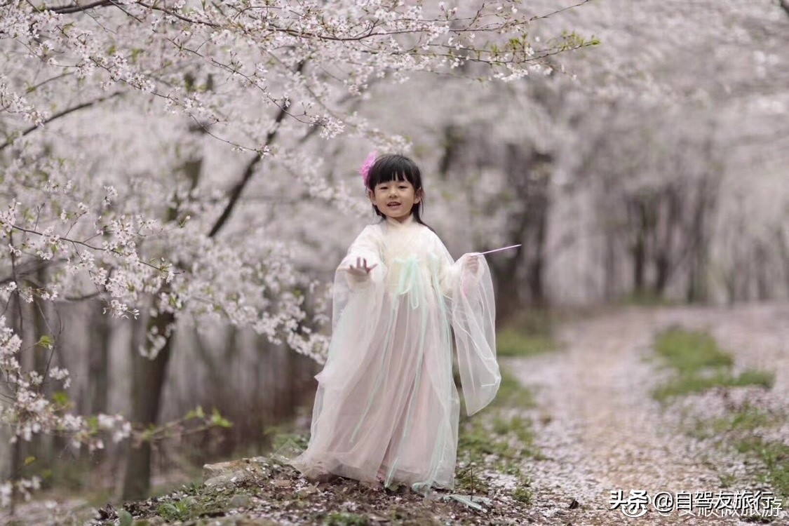 8月最佳旅行地推荐自驾游,4-5月份最佳的自驾短途旅行