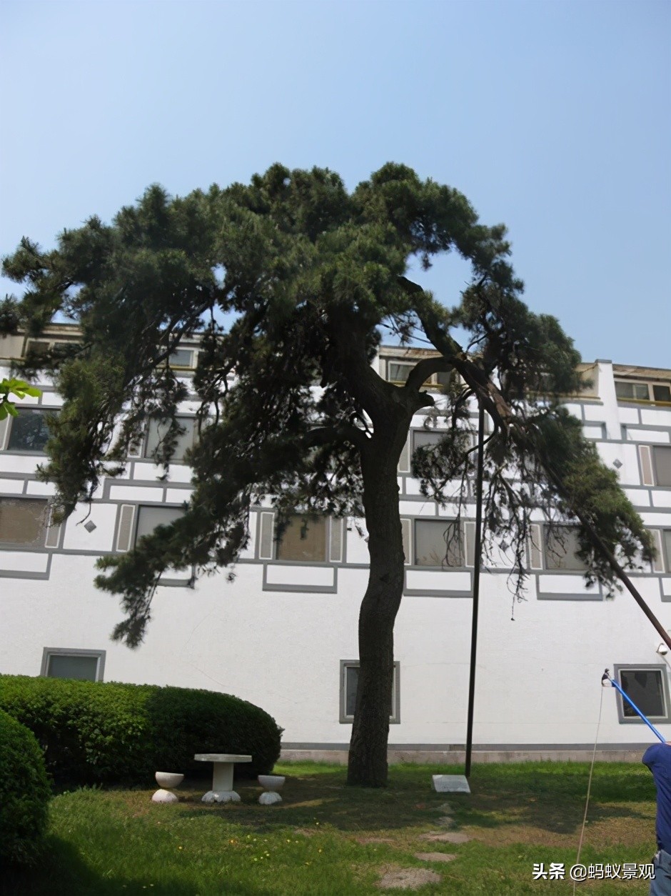 香山饭店四绝十八景是什么,香山饭店的游记