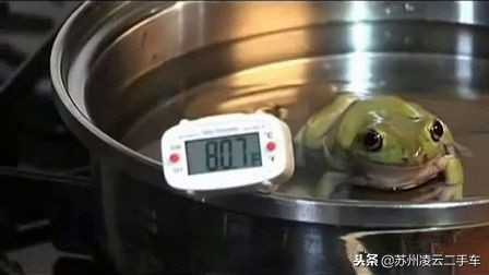 温水煮青蛙实验骗局,深度还原二手车贷款套路