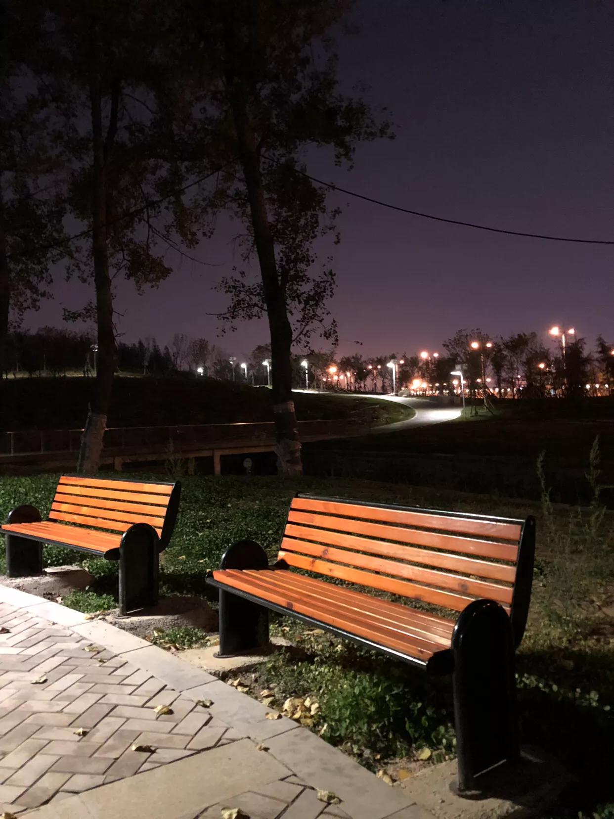 郑州国家森林公园夜游,郑州森林公园冬日游