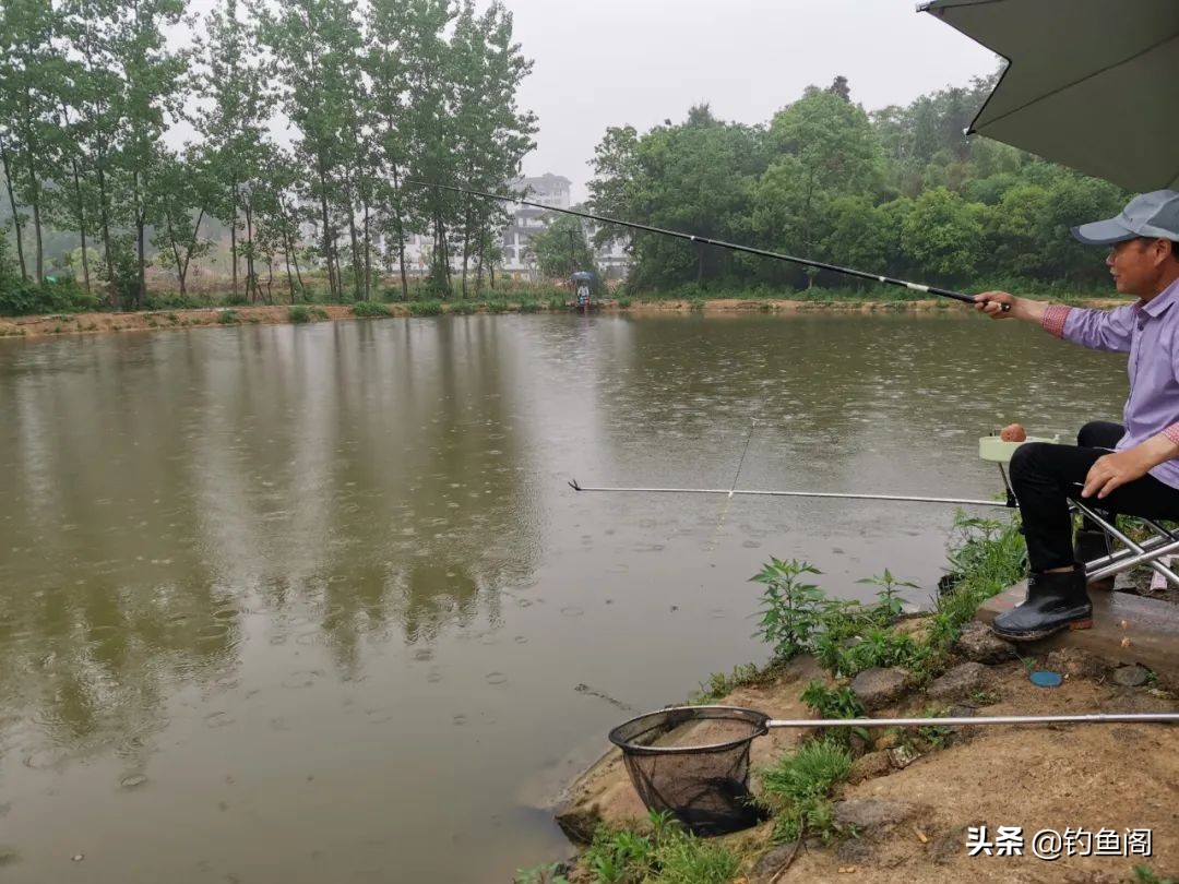 钓鱼的思路和细节,钓鱼是简单的事别将它复杂化了