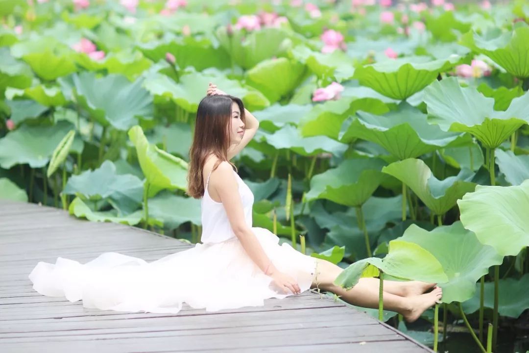 三月赏花一日游上海景点,本月上海赏花一日游最佳去处