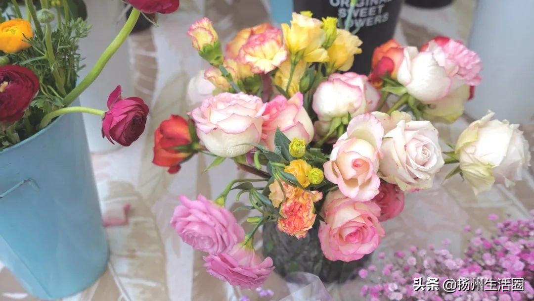 扬州花卉市场大全,扬州西区花卉市场